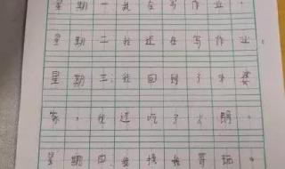 小学二年级日记 小学二年级日记